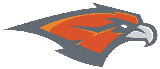 Skyridge Falcons logo